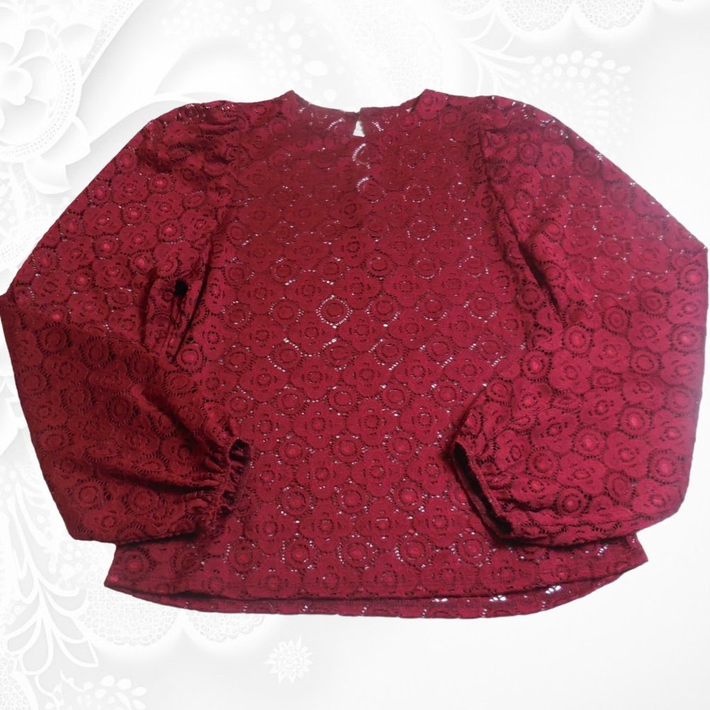 Blouse Lace NEW Long Sleeve tunic see-through pullover dressy top party